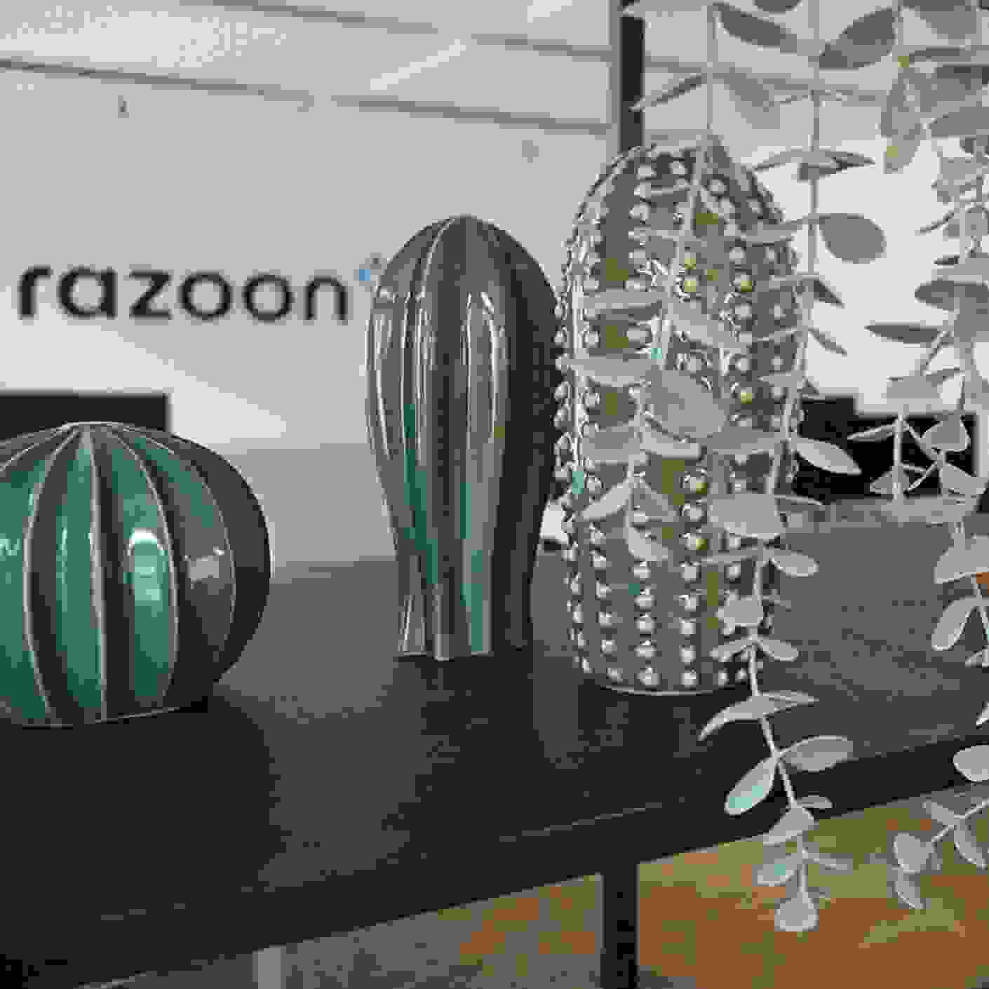 razoon - Our IAM expertise puts you in control