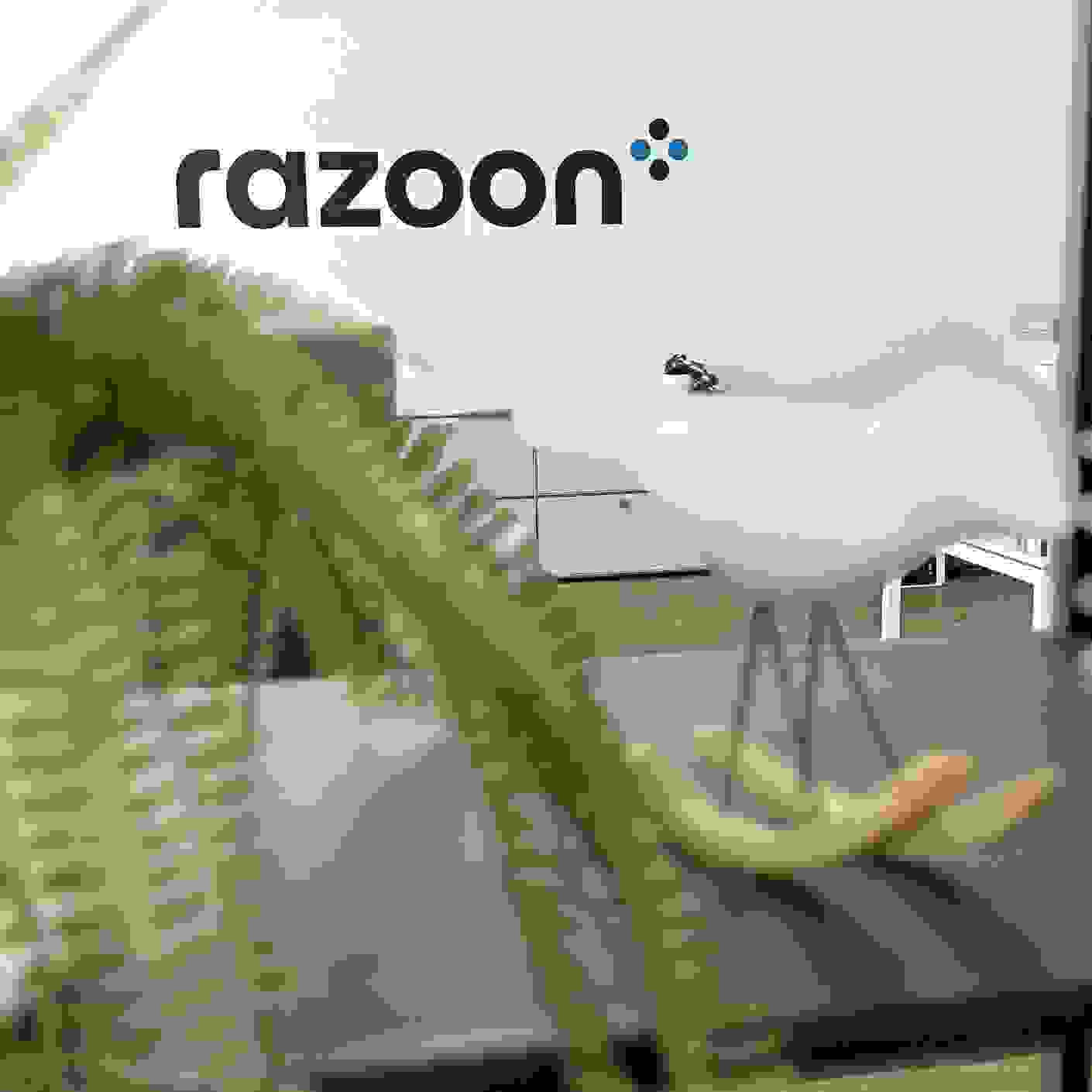 razoon - Our IAM expertise puts you in control