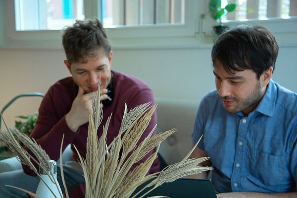 IAM Operations: High-Quality IAM Services, Reliable and Secure